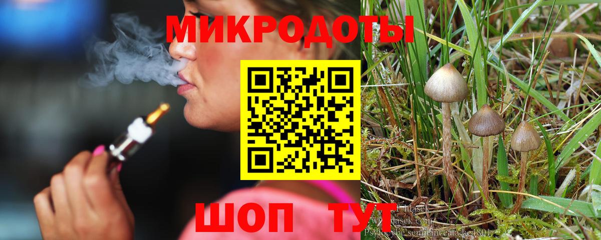 Псилоцибиновые грибы Cubensis Краснотурьинск