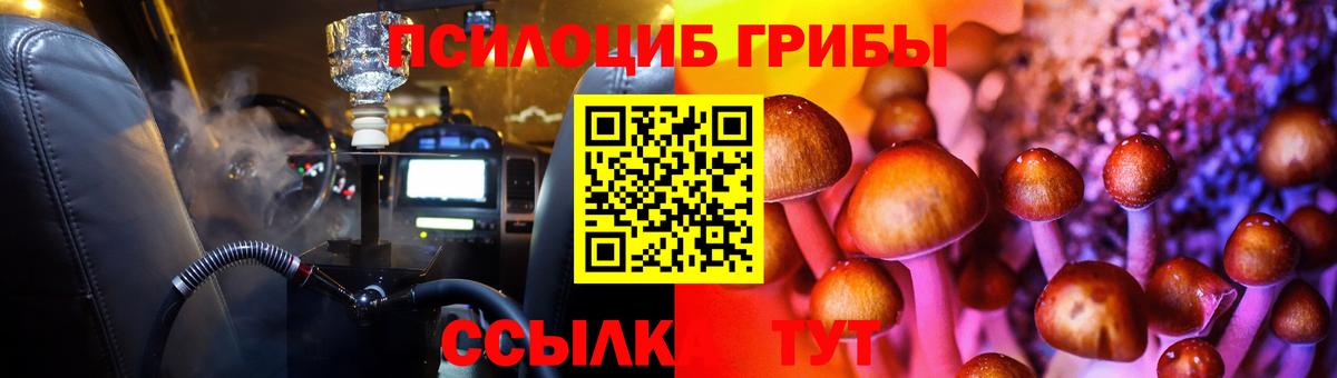 Псилоцибиновые грибы Psilocybine cubensis  Вход с VPN  Краснотурьинск 